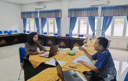 Pelaksanaan Audit Mutu Internal Program Studi Manajemen Ritel di Institut Teknologi dan Bisnis Diniyyah Lampung